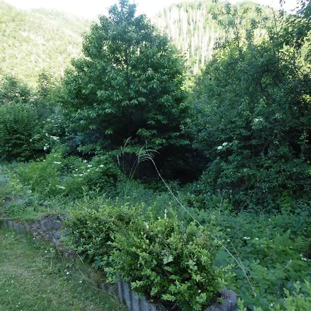 Schaefer Διαμέρισμα Waldbreitbach