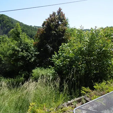 Schäfer Apartment *