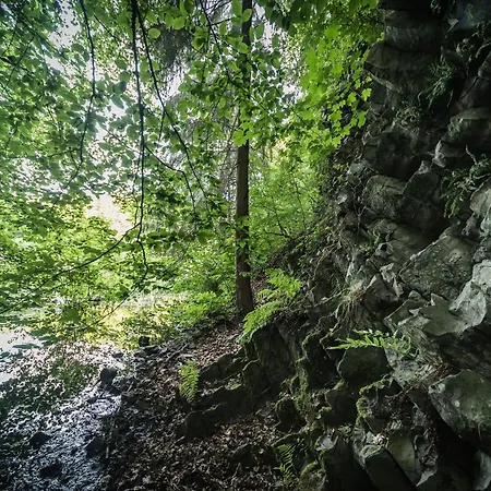 Schaefer Διαμέρισμα Waldbreitbach