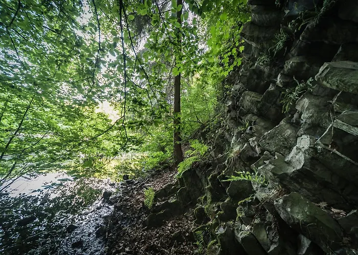 Schaefer Daire Waldbreitbach