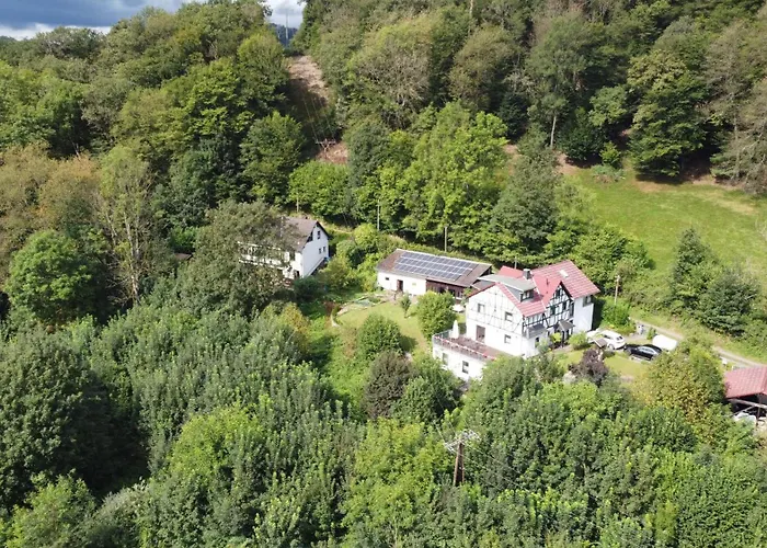 Schaefer Daire Waldbreitbach